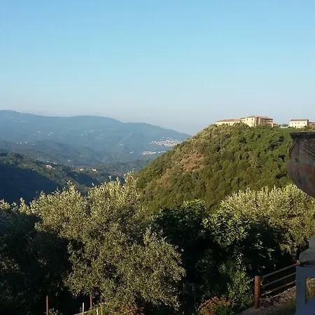 Frühstückspension Calabria Scigliano