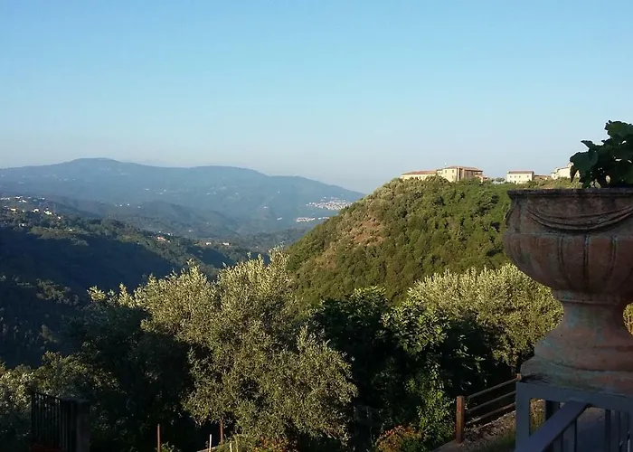 住宿加早餐酒店 Calabria Scigliano