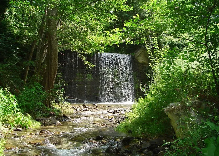 住宿加早餐酒店 Calabria